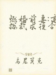 燃婚前妻:高冷总裁求复合