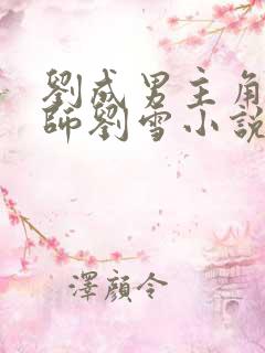 刘成男主角按摩师刘雪小说免费阅读