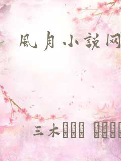 风月小说网