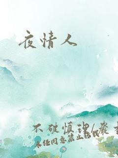 夜情人