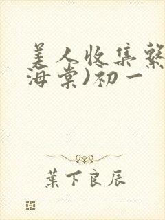 美人收集系统(海棠)初一