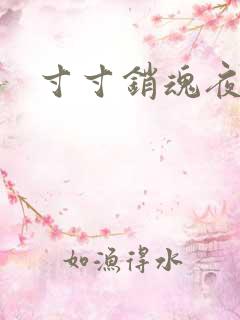 寸寸销魂夜春光