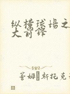 纵横球场之暴力大前锋