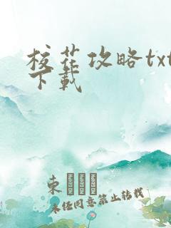 校花攻略txt下载