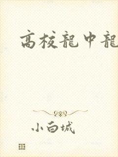 高校龙中龙下载