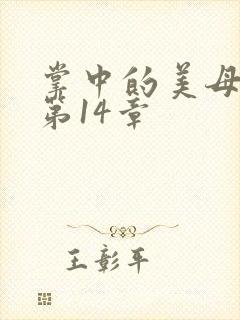 掌中的美母版主第14章