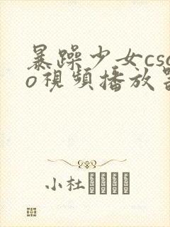 暴躁少女csgo视频播放器推荐