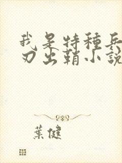 我是特种兵之利刃出鞘小说