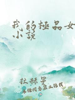 我的极品女老师小说