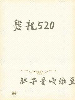 盘龙520