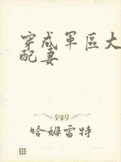 穿成军区大佬女配妻