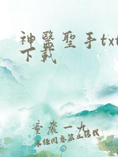 神医圣手txt下载