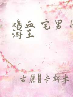 鸡血 宅男 网游王