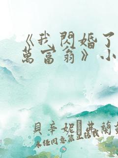 《我闪婚了个亿万富翁》小说