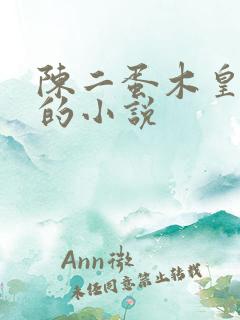 陈二蛋木皇真经的小说