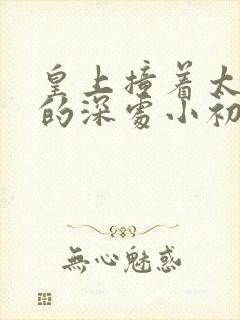 皇上撞着太子妃的深处小初