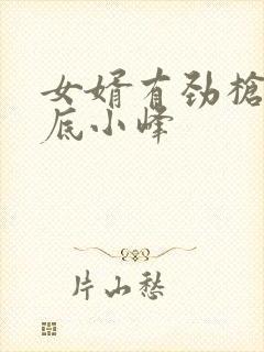 女婿有劲枪枪到底小峰