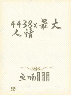 4438x最大人情