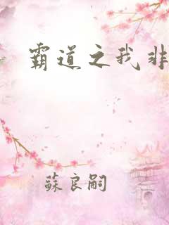 霸道之我非英雄