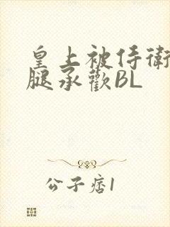 皇上被侍卫抵开腿承欢BL