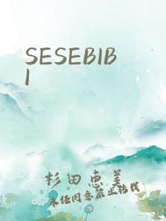 SESEBIBI