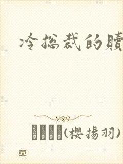 冷总裁的赎罪妻