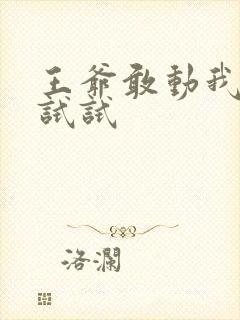 王爷敢动我妈咪试试