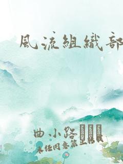 风流组织部长