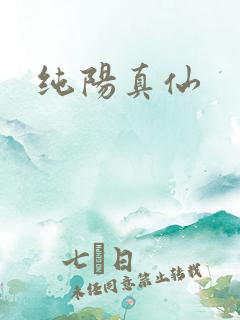 纯阳真仙