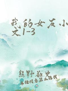 我的女友小洁全文1-3