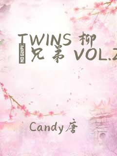 TWINS 柳澤兄弟 VOL.2