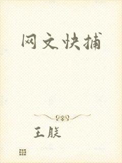网文快捕