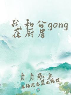 我和公gong在厨房