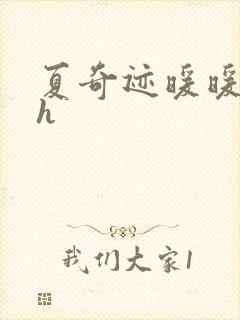 夏奇迹暖暖快穿h