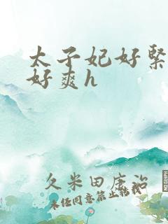 太子妃好紧皇上好爽h