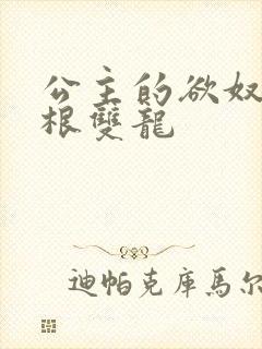 公主的欲奴h四根双龙