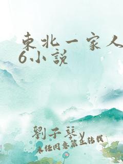 东北一家人1一6小说