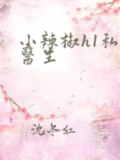 小辣椒h1私人医生