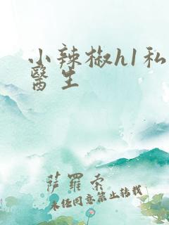小辣椒h1私人医生