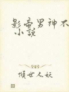 影帝男神不节制 小说