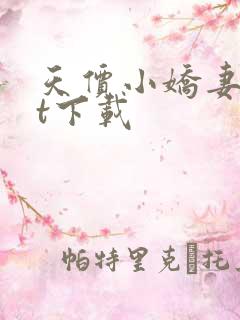 天价小娇妻txt下载