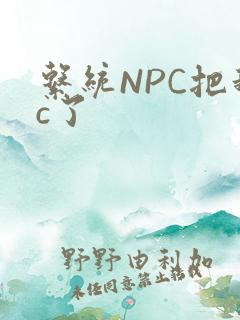 系统NPC把我c了