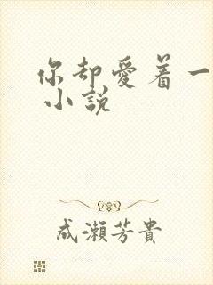 你却爱着一个他 小说