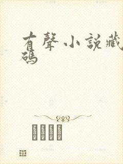 有声小说藏地密码