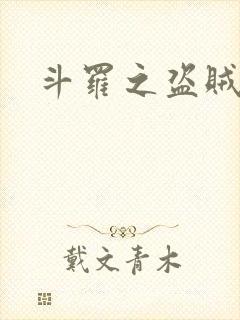 斗罗之盗贼