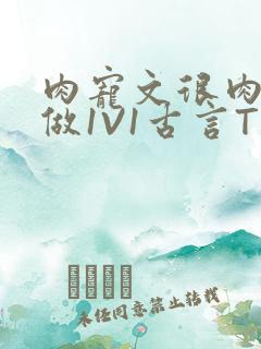 肉宠文很肉到处做1V1古言T