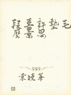 段嘉许垫毛巾什么意思