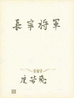 长宁将军