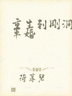 重生到刚洞房的军婚