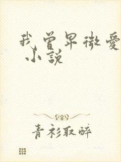 我曾卑微爱过你 小说